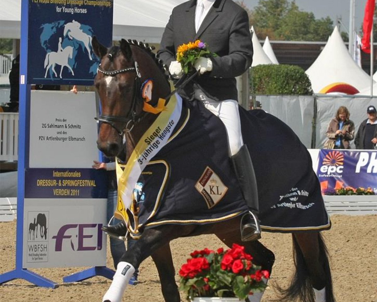 dressage horse Lemony's Nicket (Hanoverian, 2008, from Londonderry)
