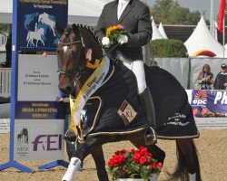 dressage horse Lemony's Nicket (Hanoverian, 2008, from Londonderry)