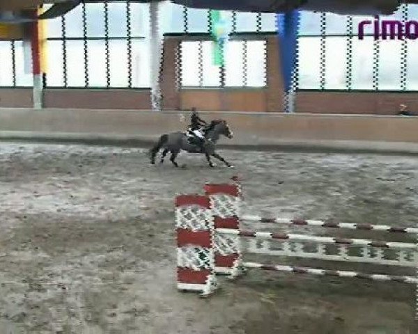 Springpferd Bon Vivant 2 (Westfale, 2000, von Barring)