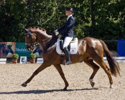 dressage horse Dolce Far Niente 3 (Westphalian, 2004, from Damon Hill)