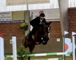 jumper Cora Von Steinberg (German Sport Horse, 2018, from Carleyle)