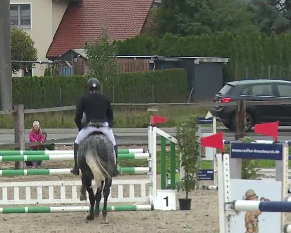 Reitturnier Poxdorf/Ofr 2022