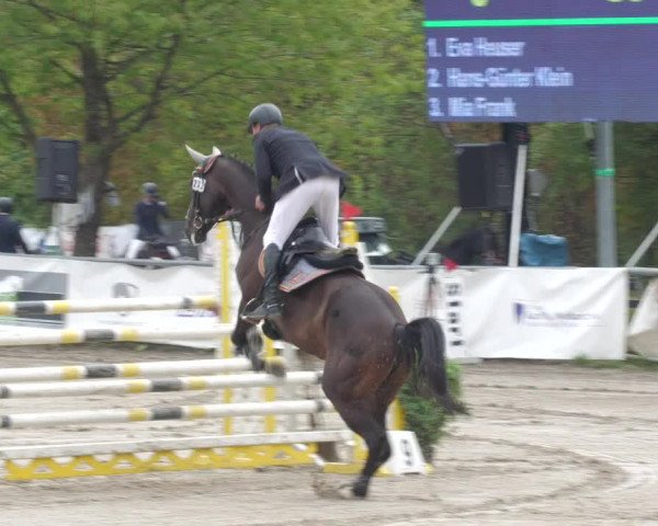 Reitturnier Neunkirchen-City 2022