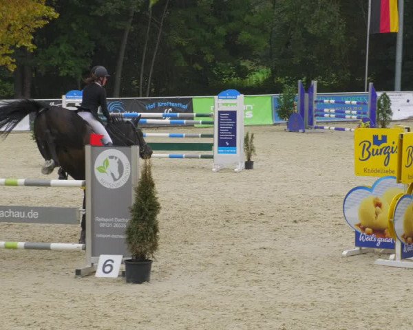 Reitturnier Karlsfeld/Obb. 2022