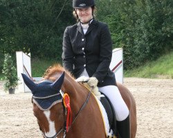 dressage horse Amigo Mio (Westphalian, 2000, from Azur de Paulstra)