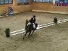 jumper Lügenbaron (Hanoverian, 2007, from Luecke)