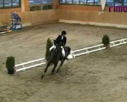 jumper Lügenbaron (Hanoverian, 2007, from Luecke)