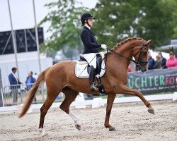 dressage horse Lucine (Hannoveraner, 2017, from Londontime)