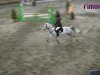 jumper Daily Surprice (German Riding Pony, 2003, from Donchester)