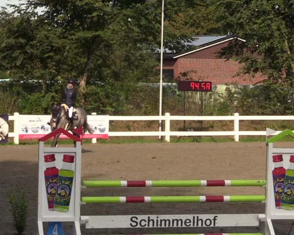Reitturnier Mildstedt 2022
