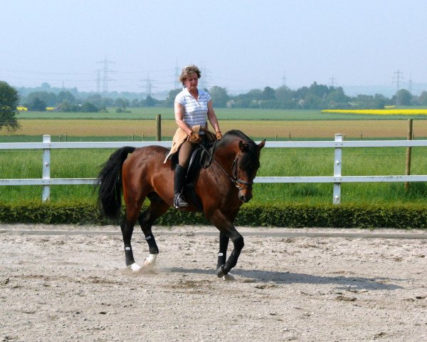 dressage horse Lamourex (Westphalian, 1998, from Lamoureux II)