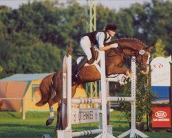 Pferd Garfield 183 (Welsh Pony (Sek.B), 1993, von Gregory)