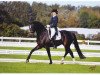 dressage horse Real Diamond 3 (Hanoverian, 2003, from Rotspon)