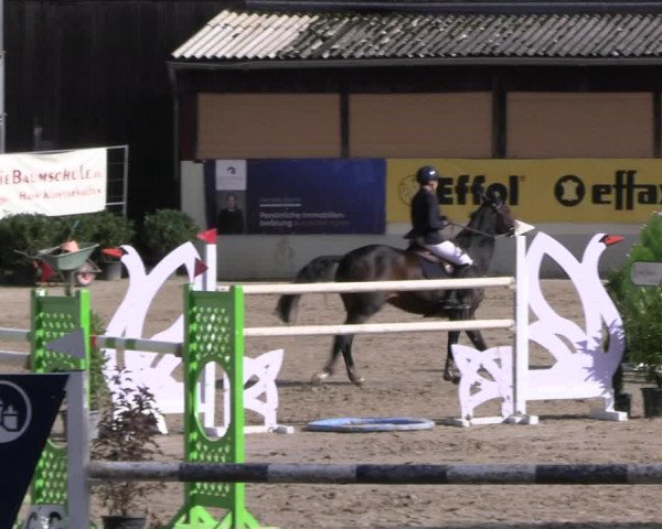 Reitturnier Wachtberg-Adendorf 2022