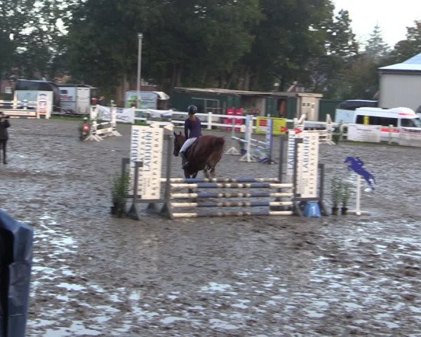 Reitturnier Mildstedt 2022