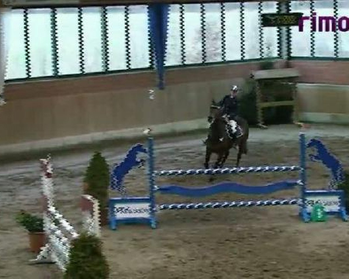 jumper N.Anuberth 8 (KWPN (Royal Dutch Sporthorse), 1995, from Grandeur)
