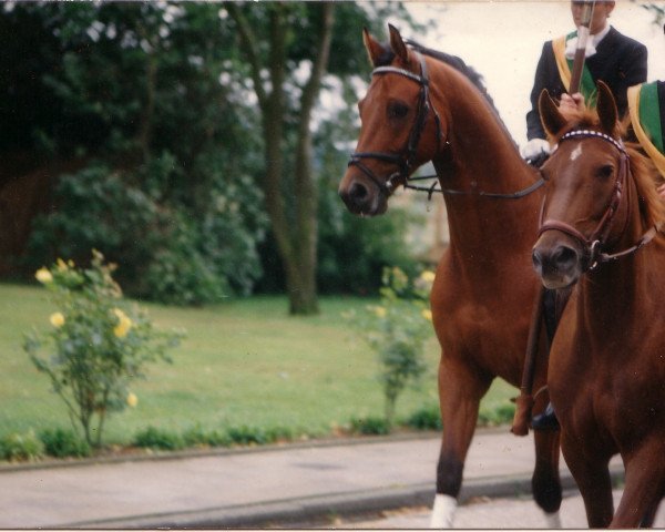 horse Fair For Ever (Rhinelander, 1986, from Fabelhaft)