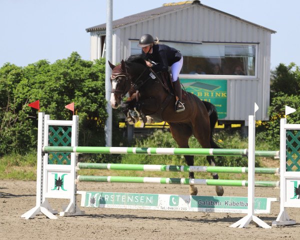 Springpferd Fabulous 18 (Dänisches Warmblut, 2015, von Balou)