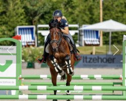 Springpferd Freienfeldes Pling-Pling Flinder (Deutsches Reitpony, 2016, von Proud Rocketti)