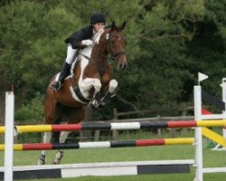 jumper Tullibards Europuzzles (Irish Sport Horse, 2003, from Ekstein)