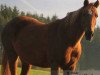 broodmare Bea (German Riding Pony, 1996, from Liostro)