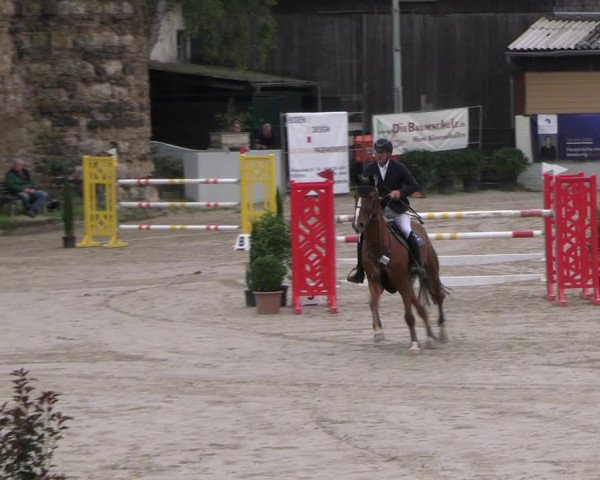 Reitturnier Wachtberg-Adendorf 2022