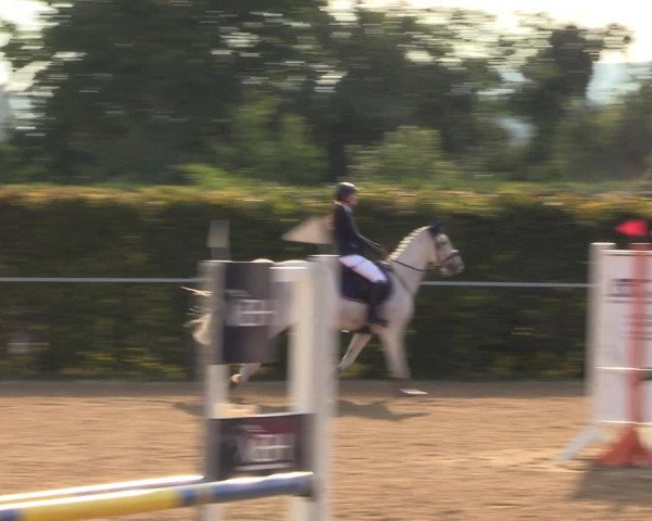 Reitturnier Birkungen 2022