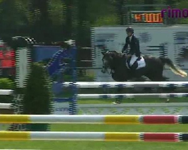 jumper Colchero (Westphalian, 2007, from Colbert GTI)