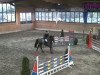 jumper Lord Zeus (Oldenburg, 2001, from Lord Calando)