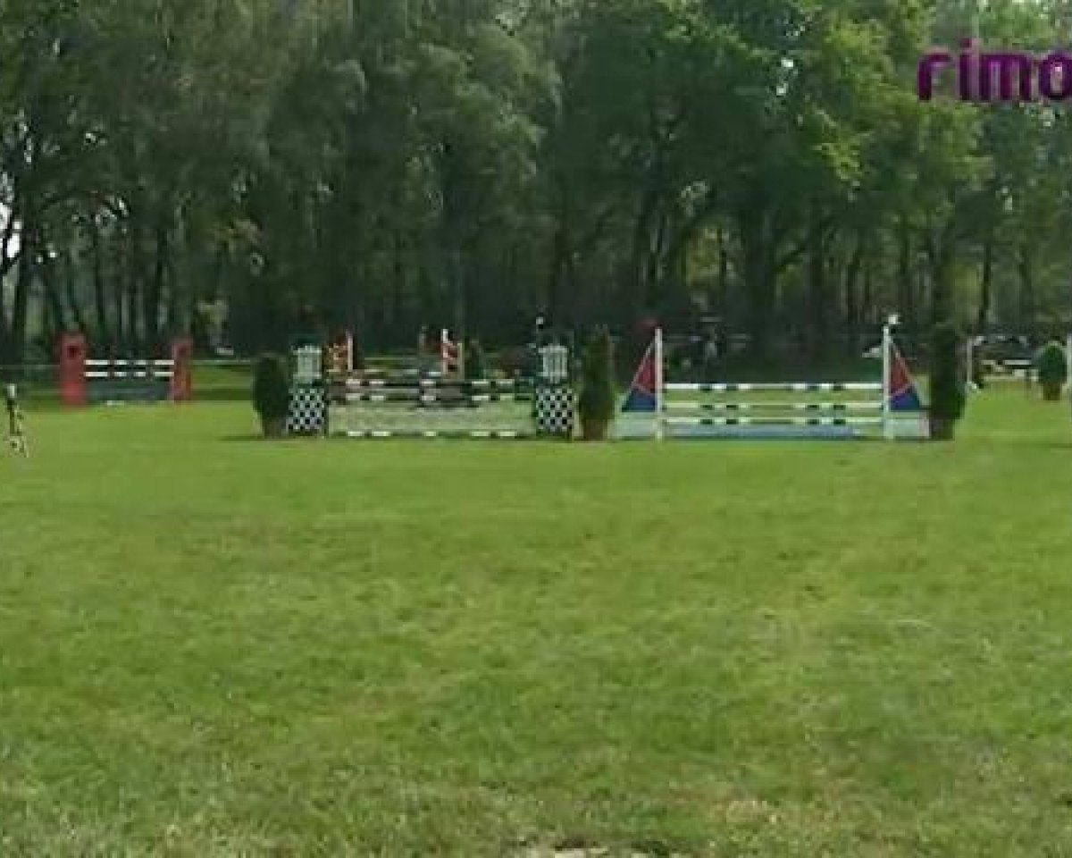 Dressurpferd Corado (Welsh Pony (Sek.B), 1988, von Constantin)