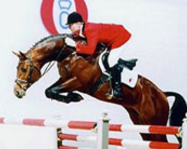 horse Santander H (Oldenburg, 1993, from Sandro)