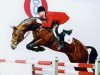 stallion Santander H (Oldenburg, 1993, from Sandro)
