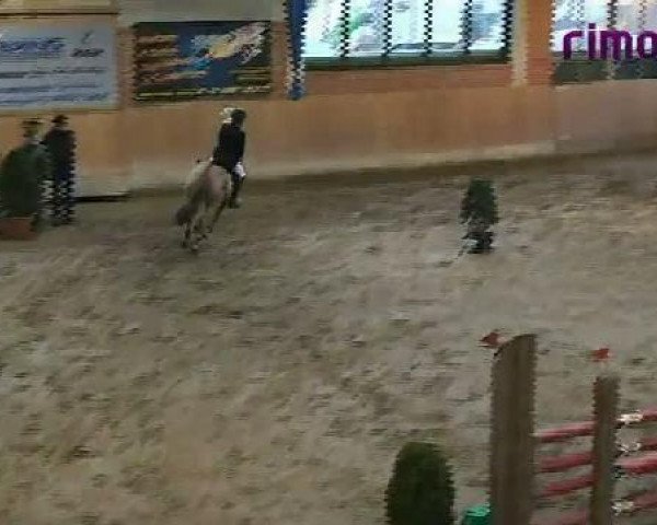 jumper Mary Ann 8 (German Riding Pony, 2004, from FS Maracaibo)