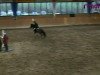 jumper Montevideo B 2 (German Riding Pony, 1996, from Mylord)