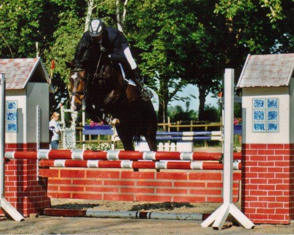 Springpferd Firlefanz Z (Westfale, 2003, von Freudenfeuer)