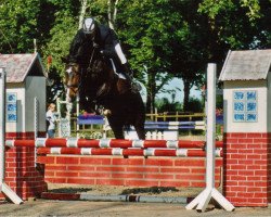 Springpferd Firlefanz Z (Westfale, 2003, von Freudenfeuer)