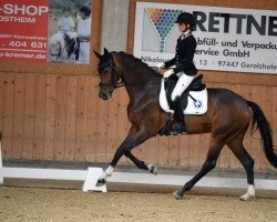 dressage horse Sunny Day Sw (Westphalian, 2017, from Sir Heinrich OLD)