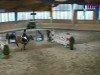 jumper Napoleon (German Riding Pony, 1996, from Night-Star III)