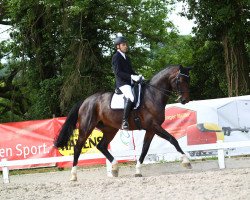 dressage horse Balanda H (Oldenburg, 2009, from Christ)