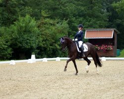 dressage horse Donna Detta ASS (Hanoverian, 2010, from Don Schufro)