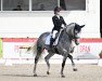 dressage horse Maditah (Westphalian, 2013, from Vitalis)