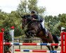 jumper El Christobal (Oldenburg show jumper, 2013, from Comme il Faut)