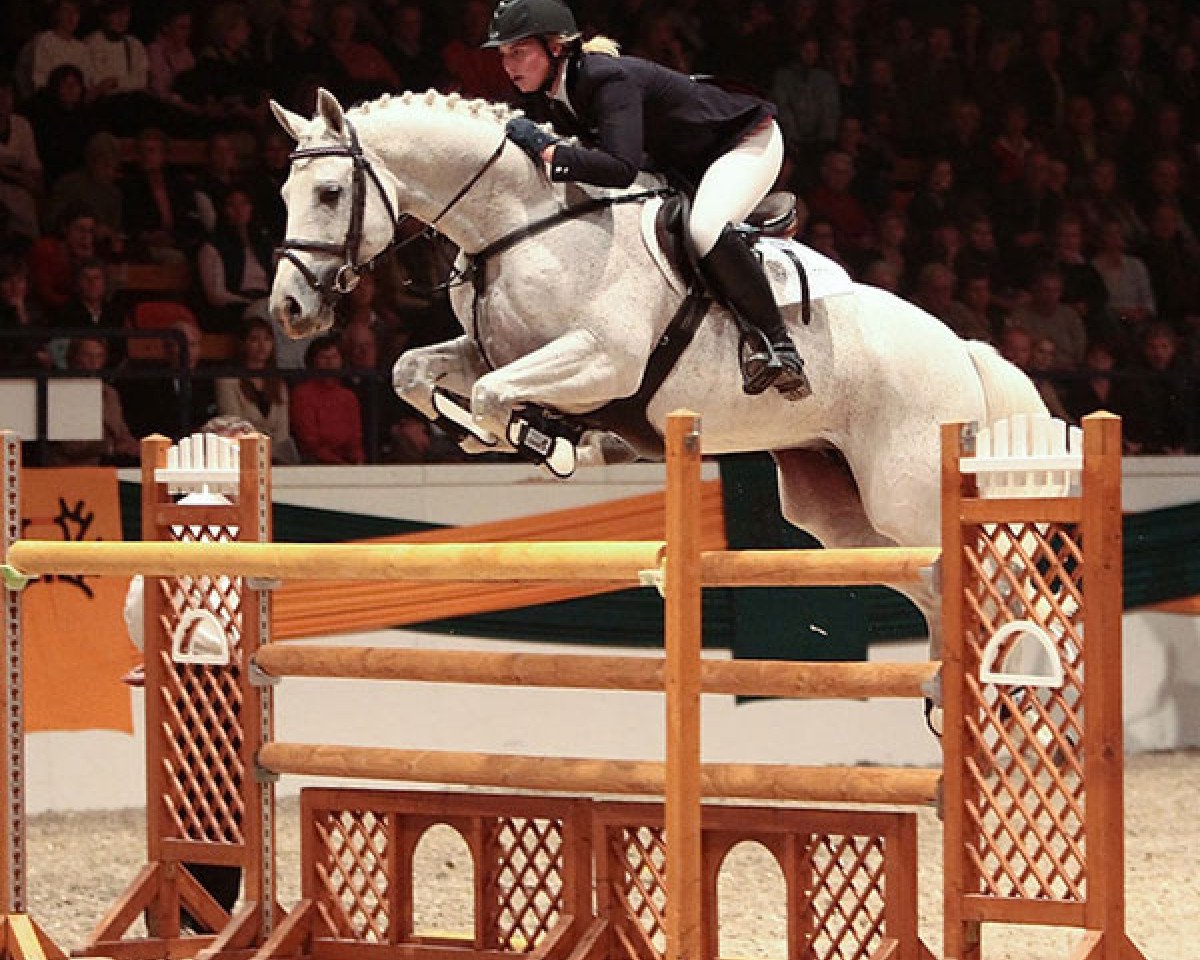 stallion Hermes d'Authieux AA (Anglo-Arabs, 1995, from Ithuriel x)