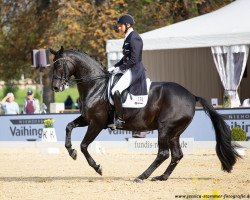 dressage horse Forever Young Hrh (Westphalian, 2012, from Fürst Fugger)