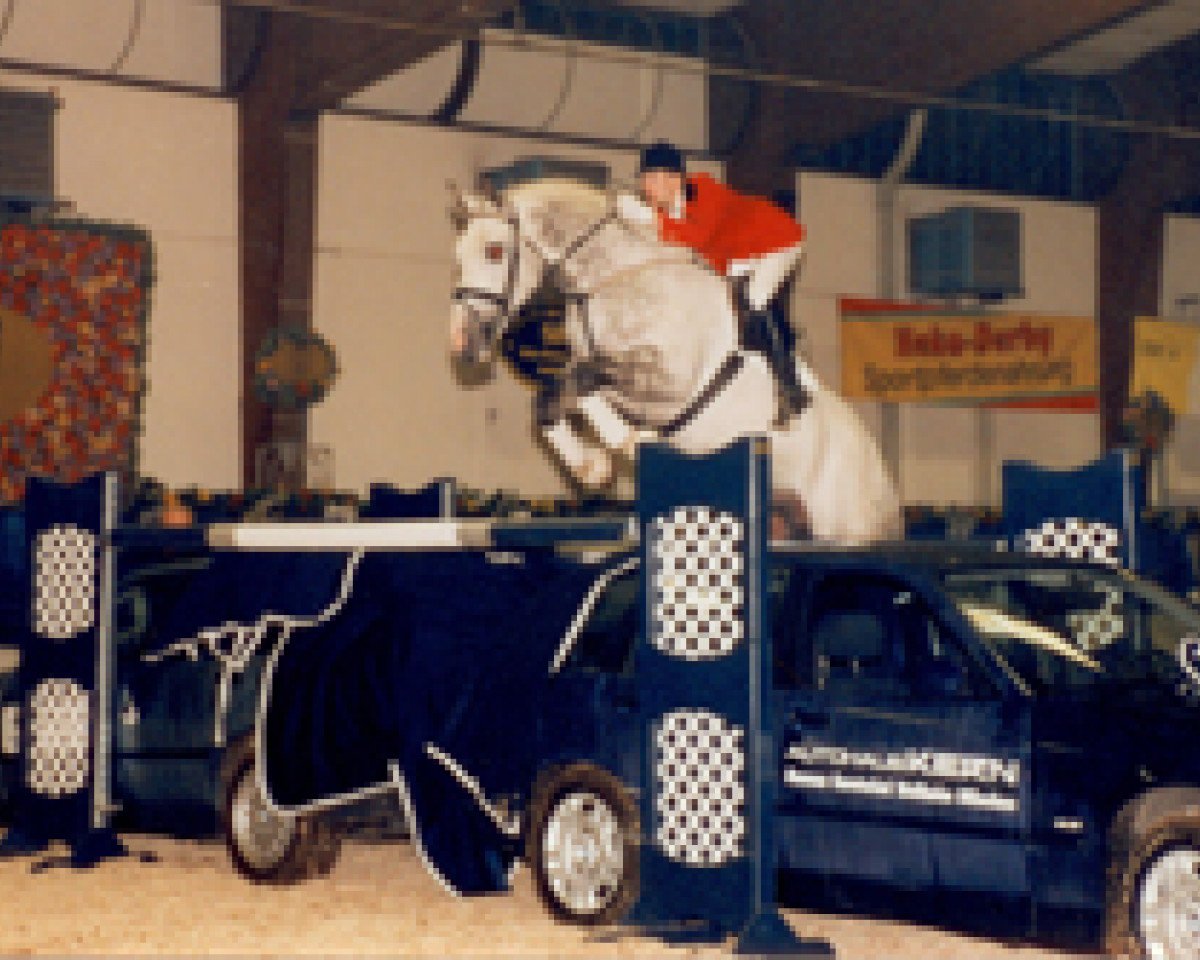 stallion Come Well (Württemberger, 1990, from Come On)