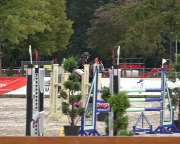 Late Entry Springturnier Verden 2022