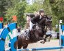 jumper Blacky the dream of Beauty (Pony without race description, 2011)