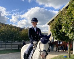 dressage horse Hypnose des Ravières (Camargue horse, 2017, from Campino des Prevots)