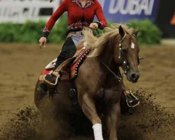 stallion Whizdom Shines (Quarter Horse, 2004, from Topsail Whiz)