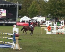 jumper Kaiserwinner 2 (sonstiges Pony, 2000)